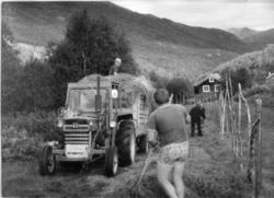 Fôrkøyring på stølen til Hølto, ca. 1970.
Eirik Hølto på as