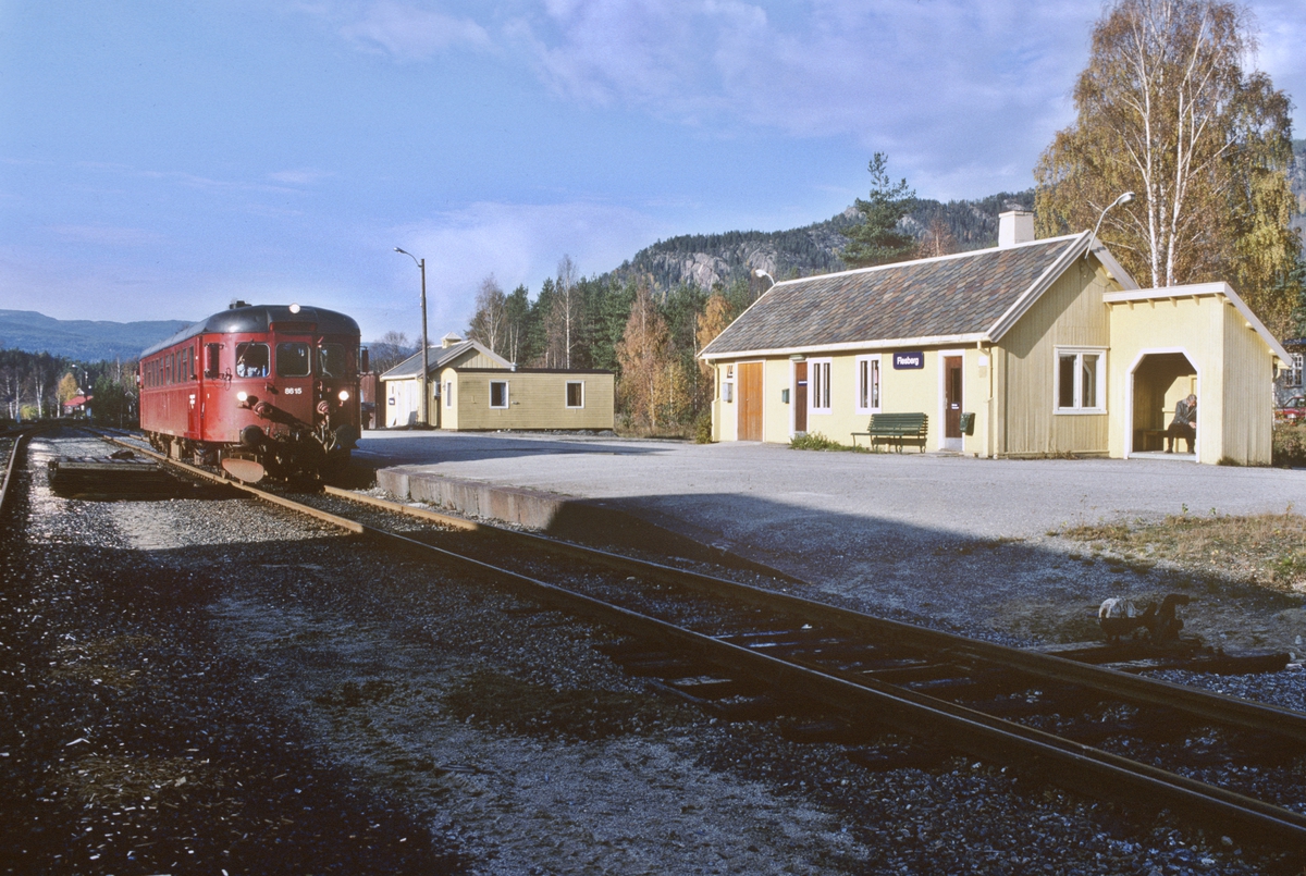 Flesberg stasjon, Numedal, med persontog til Kongsberg. NSB dieselmotorvogn BM 86K 15.