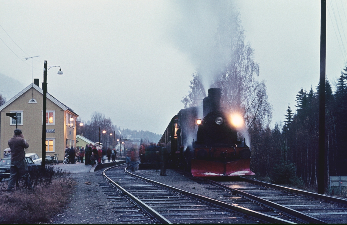 Veterantog på Veggli stasjon med damplok 21b 252. Turen ble arrangert av A/L Urskog-Hølandsbanen.