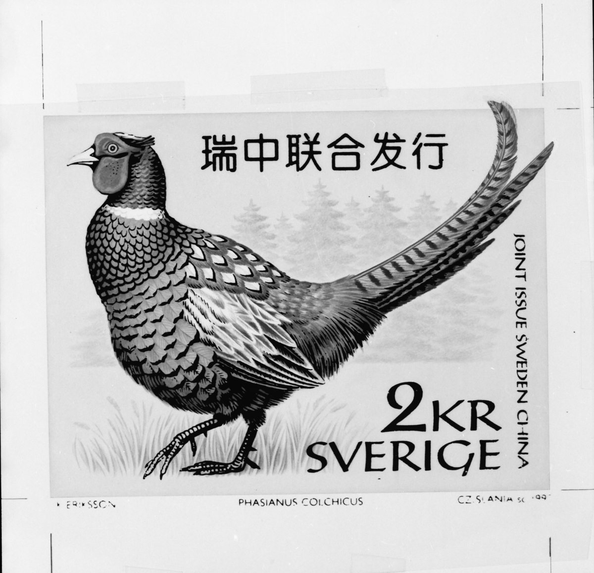 Original till frimärket "Svensk fasan" för utgåvan Fasaner, 1997.