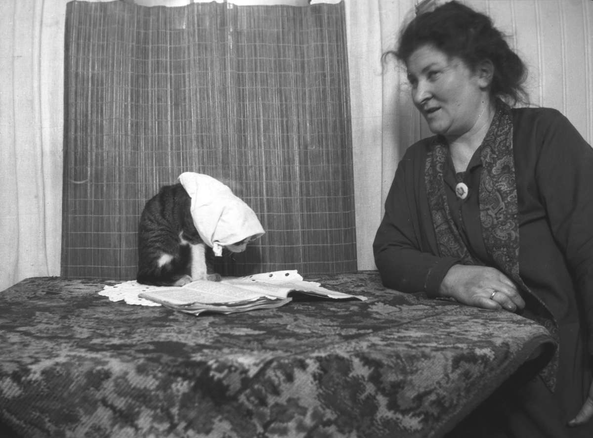 Tor Hauges mormor Lovise Amundsen sitter ved et bord. Stedet er ukjent, men kan være i et hus på Ekkerøy i Vadsø komune.