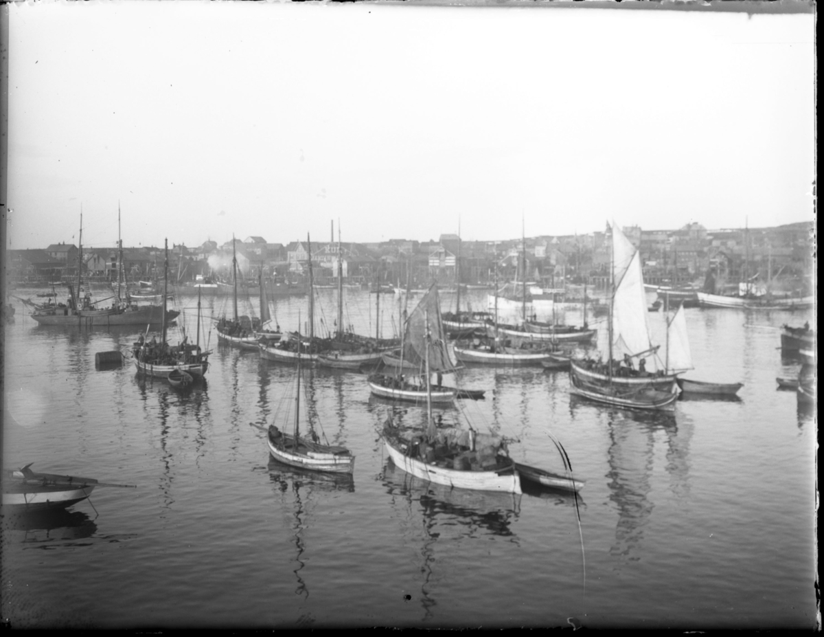Nordre våg sett fra Brodtkorbkaia. Mange fiskebåter og nordlandsbåter ved havn. Bildet utgjør et panoramabilde sammen med bildene 83002-101, 83002-099 og 83002-100.
