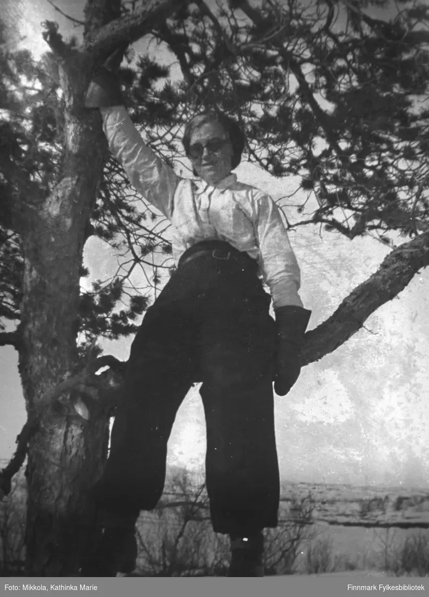 Synnøve Mikkola sitter på en grein i et furutre. Bildet er antakelig tatt i Sør-Varanger, bak henne ser vi et snøkledd landskap