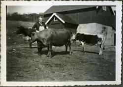 Anna Reeberg står blandt kyrne foran fjøset på skiferbruddet