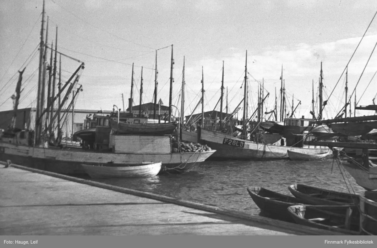 Mange loddebåter ligger ved kai i Vadsø havn.