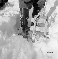 "Hankekjøring på Lillerud i Vestre Gausdal. K. Kronberget og