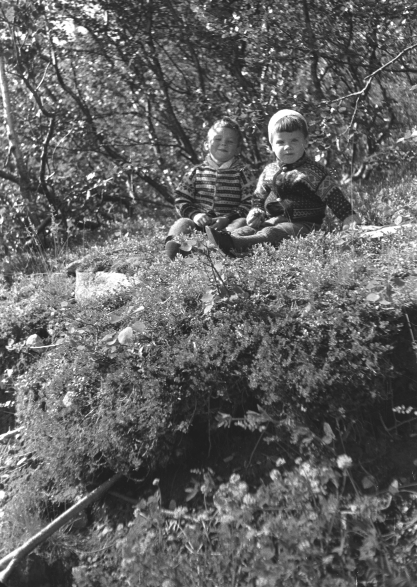 Rolf og Øystein Hauge på bærtur under krigen. Stedet er ukjent.
