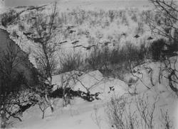 Tysk teltleir oktober 1941