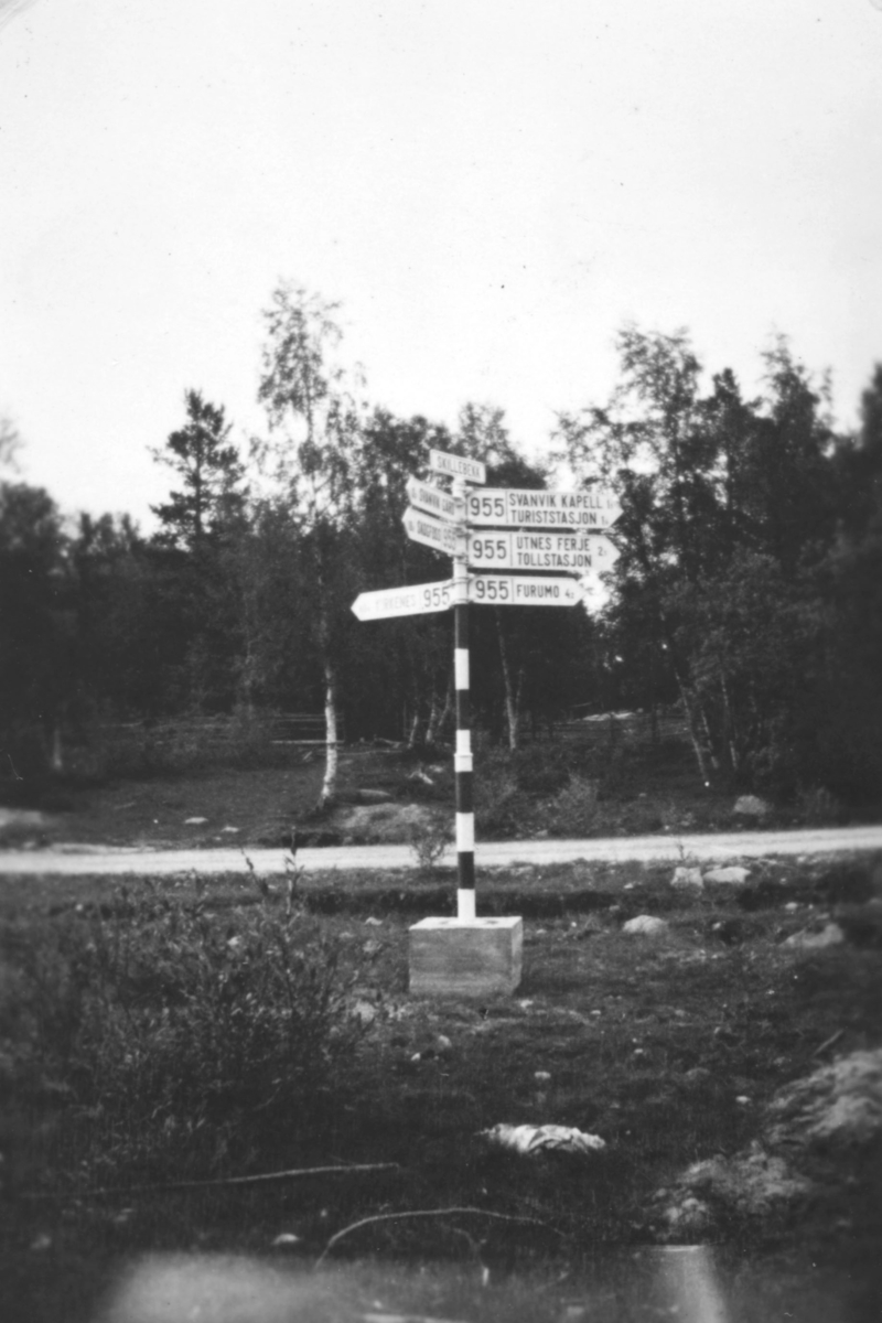 Dette er veikryss ved Skillebekk på Svanvik i Pasvik, i Sør-Varanger. På en stolpe er det mange skilt som viser vei til ulike steder.