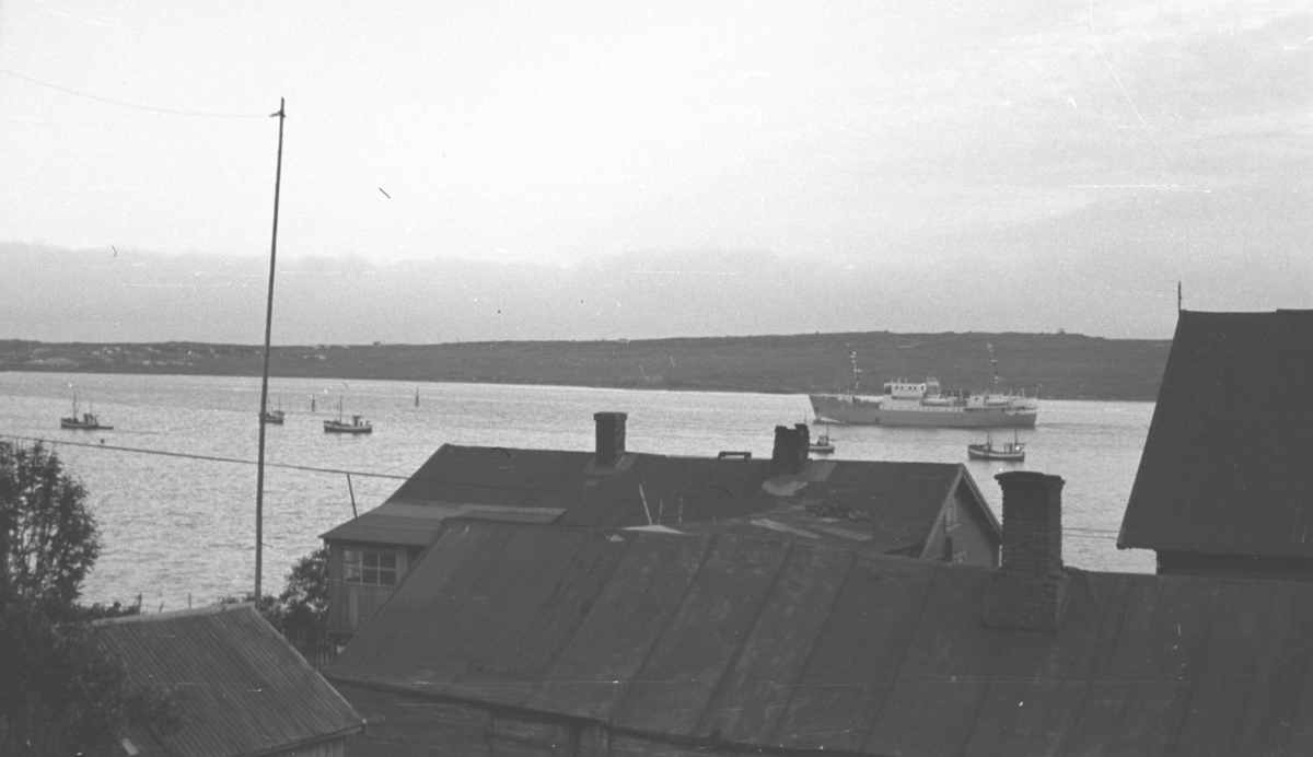 Et stort skip på tur ut fra Vadsø havn og følges av flere mindre fiskebåter. Dette skipet ligner på de grå skipene til Finnmark Fylkesrederi og er flaggpyntet, antakelig jomfruturen til MS "Sørøy" eller MS "Alta" som ble levert henholdsvis i 1949 og 1950. Bilde er tatt fra Indrebyen og øya er i bakgrunnen og da er skipet på tur inn havna.  