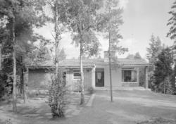 Johansen, Kristine fru