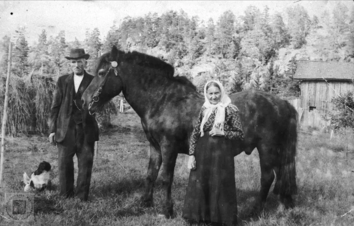 Gruppeportrett. Knut og Gunhild Tomine Mobekk med hest og hund