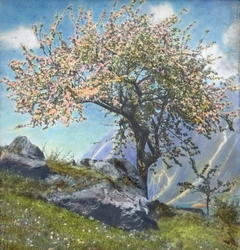 Frugttræ - Hardanger