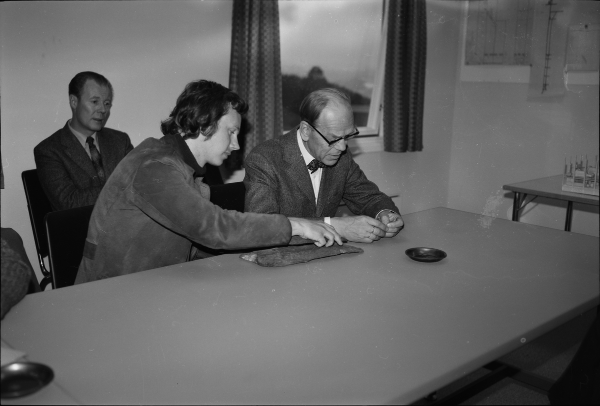 Statsrådsbesøk 1973 av Ola Skjåk Bræk