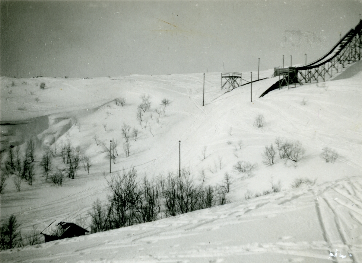Hoppbakken i Bjørnevatn ferdig til bruk. Bildet kan være tatt under 2. verdenskrig, eller muligens i forbindelse med nordnorsk mesterskap på ski i 1948?