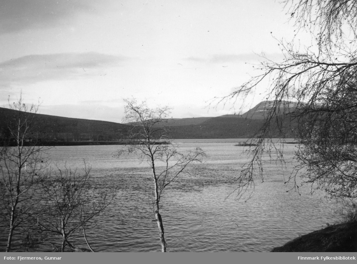 Sommerbilde fra Skoganvarre i Porsanger 1948.