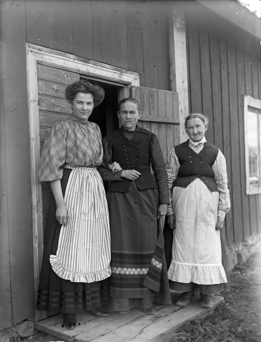 "Grupp på trappan hos Lövén, Backa", Bred socken, Uppland, 16 maj 1909