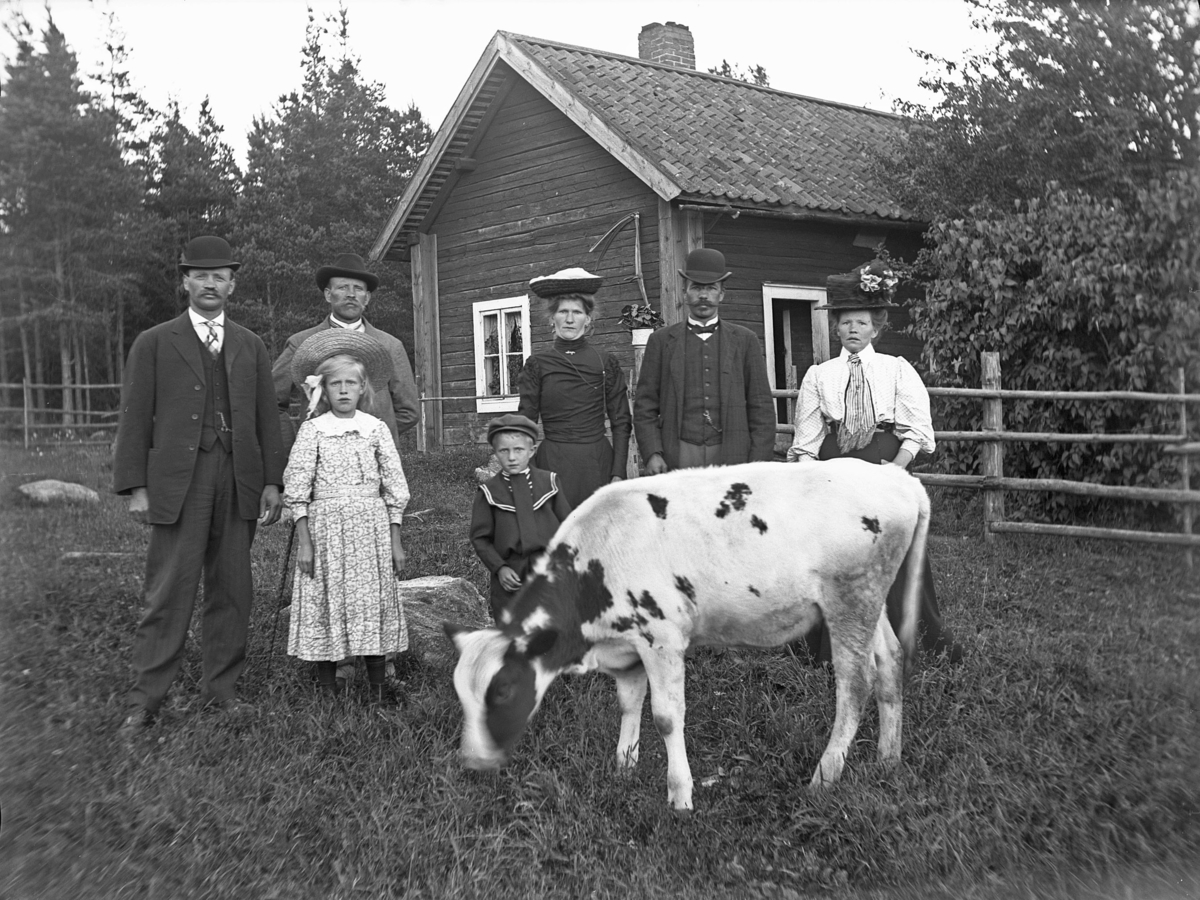 "Ekborgs på backen", ev. Hamby, Bred socken, Uppland, 19 juli 1909