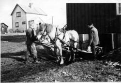 Gårdsarbeid med "Dokka"