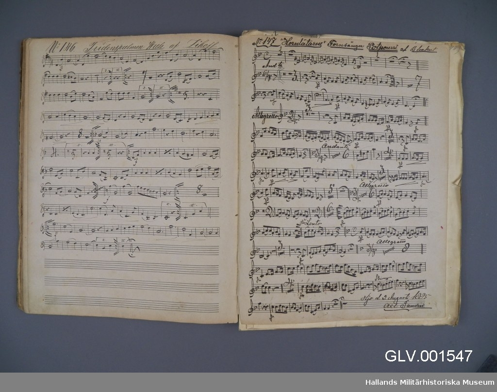 Stämboken är en volym av fem som utgör stämboksuppsättningen GLV.001547-GLV.001551. Boken har oval handskriven etikett med stämmans namn "Cornetto in Ess" och  "3de Partiet". Boken innehåller handskrivna noter för 160 kompositioner.