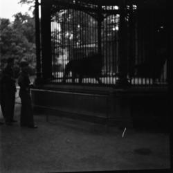 To uniformerte menn beskuer et dyr i bur. De er i en park.