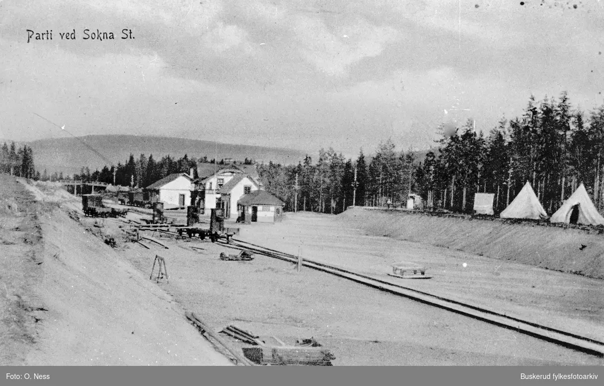Sokna jernbanestasjon

1911  Parti ved Sokna st.