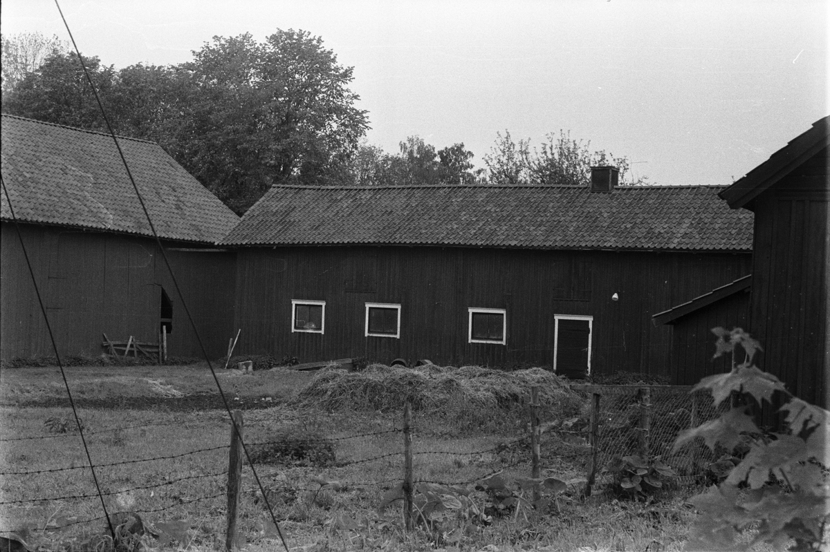 Lada, ladugård, stall, lider och fähus, Skuttunge by 5:1, Skuttunge socken, Uppland 1976