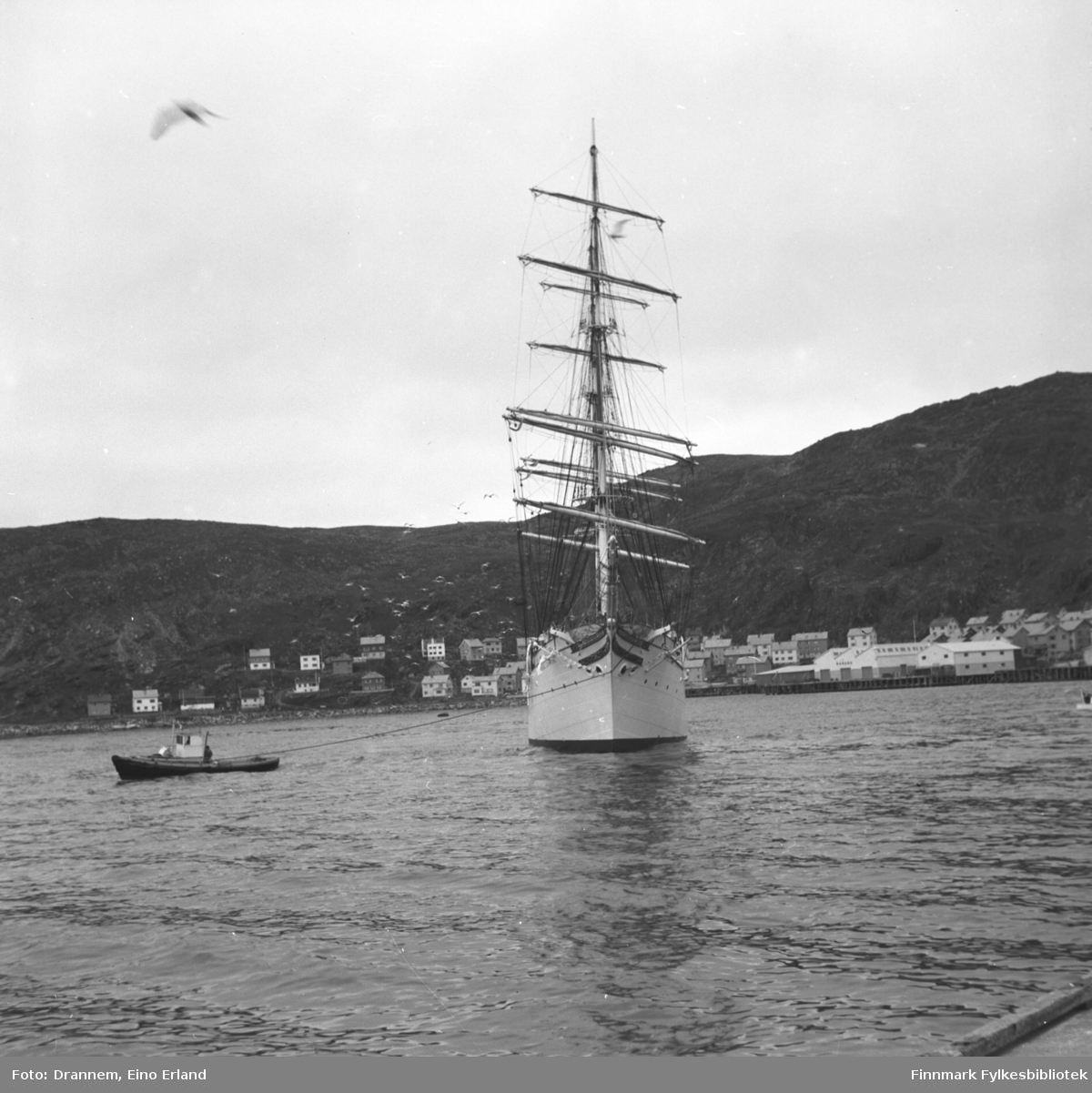 Losen navigerer skipet ut fra havna i Hammerfest