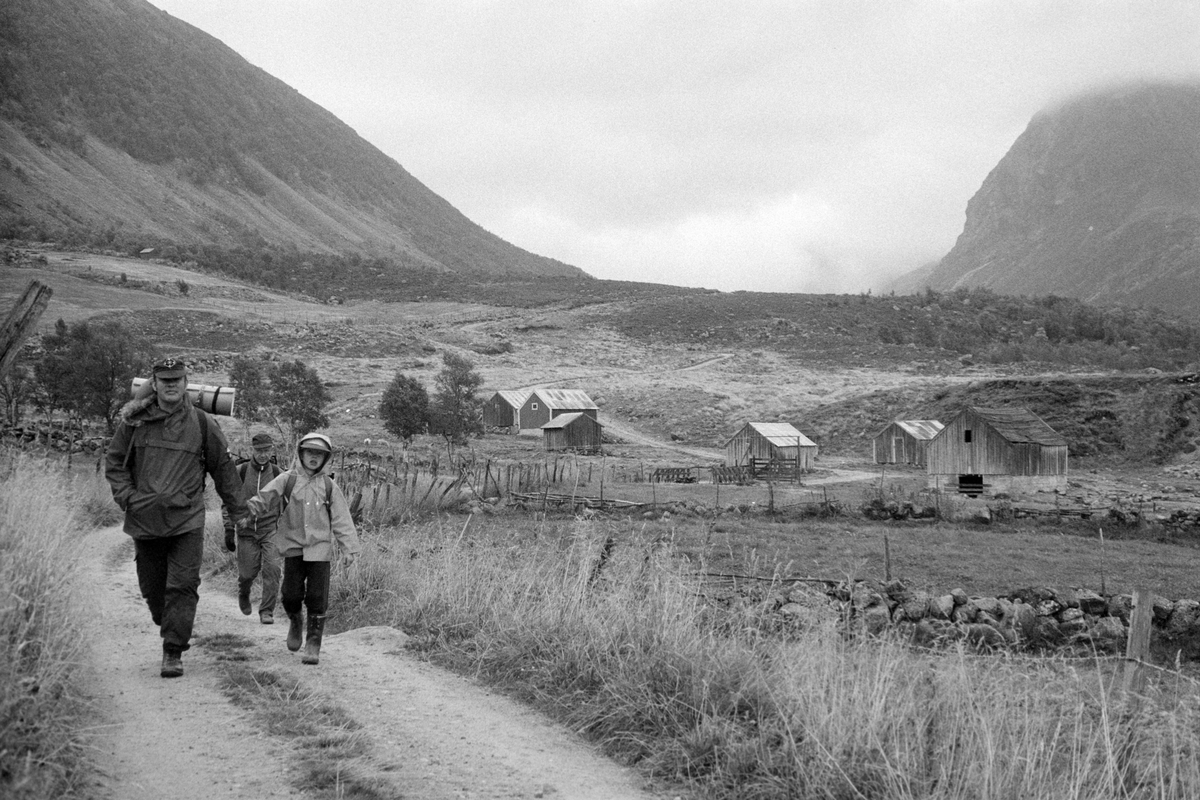 Medlemmer av Harstad turlag går nedover en vei på Grytøya, med steingjerder og sommerfjøser i bakgrunnen.