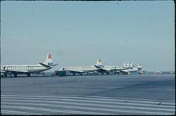 Fra flyplassen i Schipol Magnhild og Per Renbjør  til verden