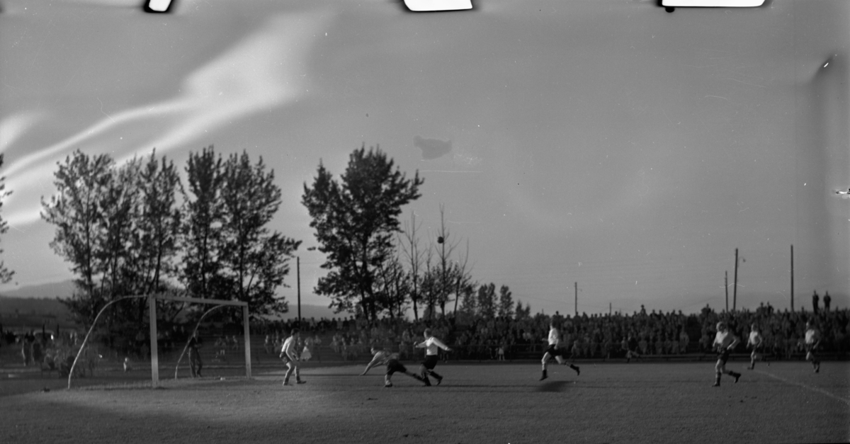 Vardens arkiv. "Odd - Geithus 2-1. Stadion. William Eriksen. U.K. formannen og tysk trener". 06.09.1953