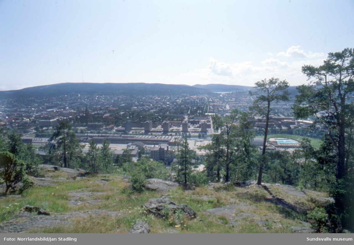 Sommarbilder från Norra berget med restaurang Grankotten och utsikt över staden från utsiktstornet.
