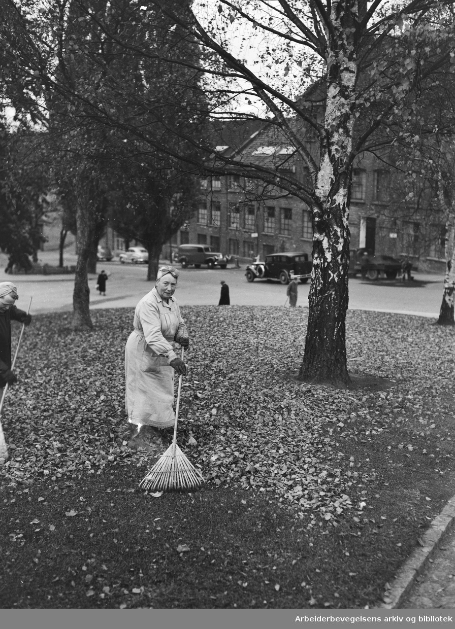 "Fru Larsen" fra Oslo Kommunes parkvesen raker løv i Stensparken. Oktober 1953.