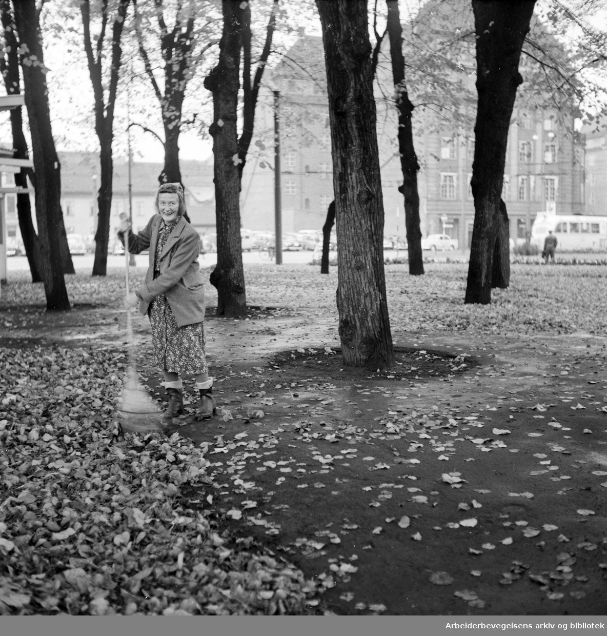 Parkarbeider Kirsti Gjestad raker løv i Paléhaven - nå Christian Frederiks plass. Oktober 1953.