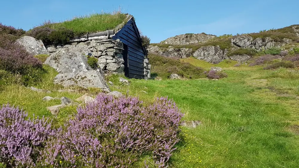 lyng og torvhus i landskap