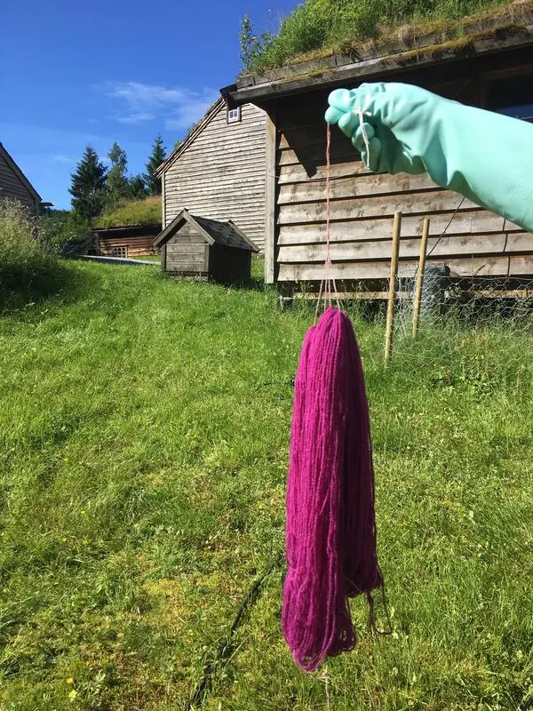 rosa garnhespe i museumstun