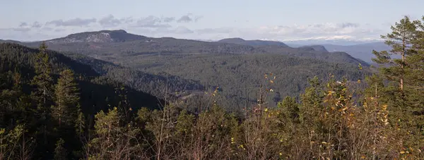 Dronningkollen og Vinoren gruver