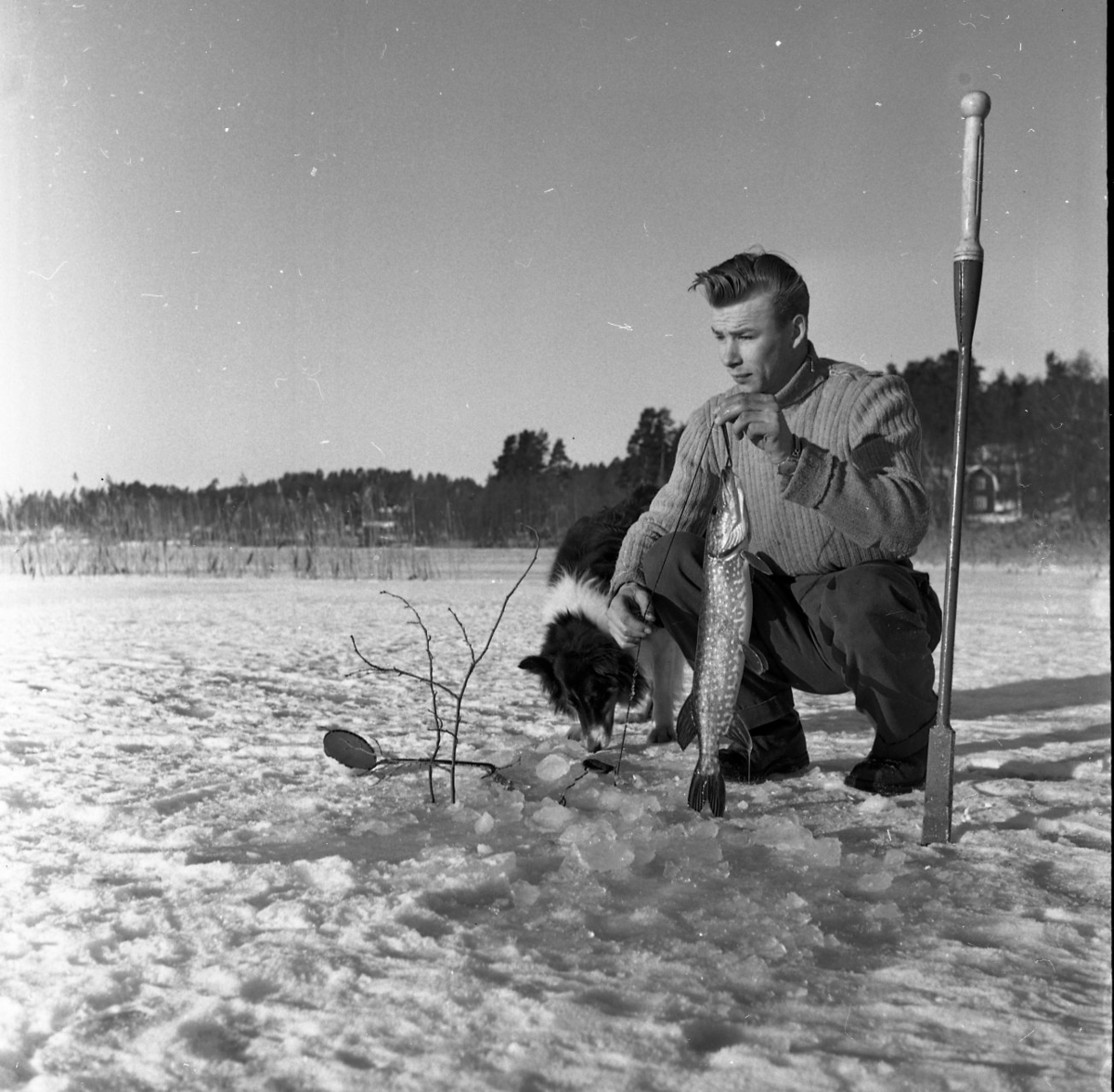En ung man i ribbsticka tröja och grova kängor sitter på huk på isen för vinterfiske på sjön Bunn. Ett spett står i isen intill honom. Han har just dragit upp en gädda som han visar upp. Hunden Pucky sitter intill.