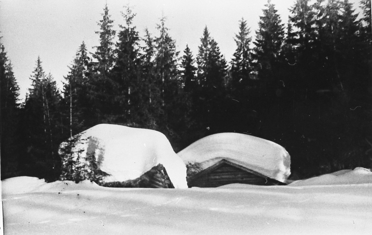 Vedskjul og sommerfjøs på Kanelessetra, dekket av snø. April 1951.