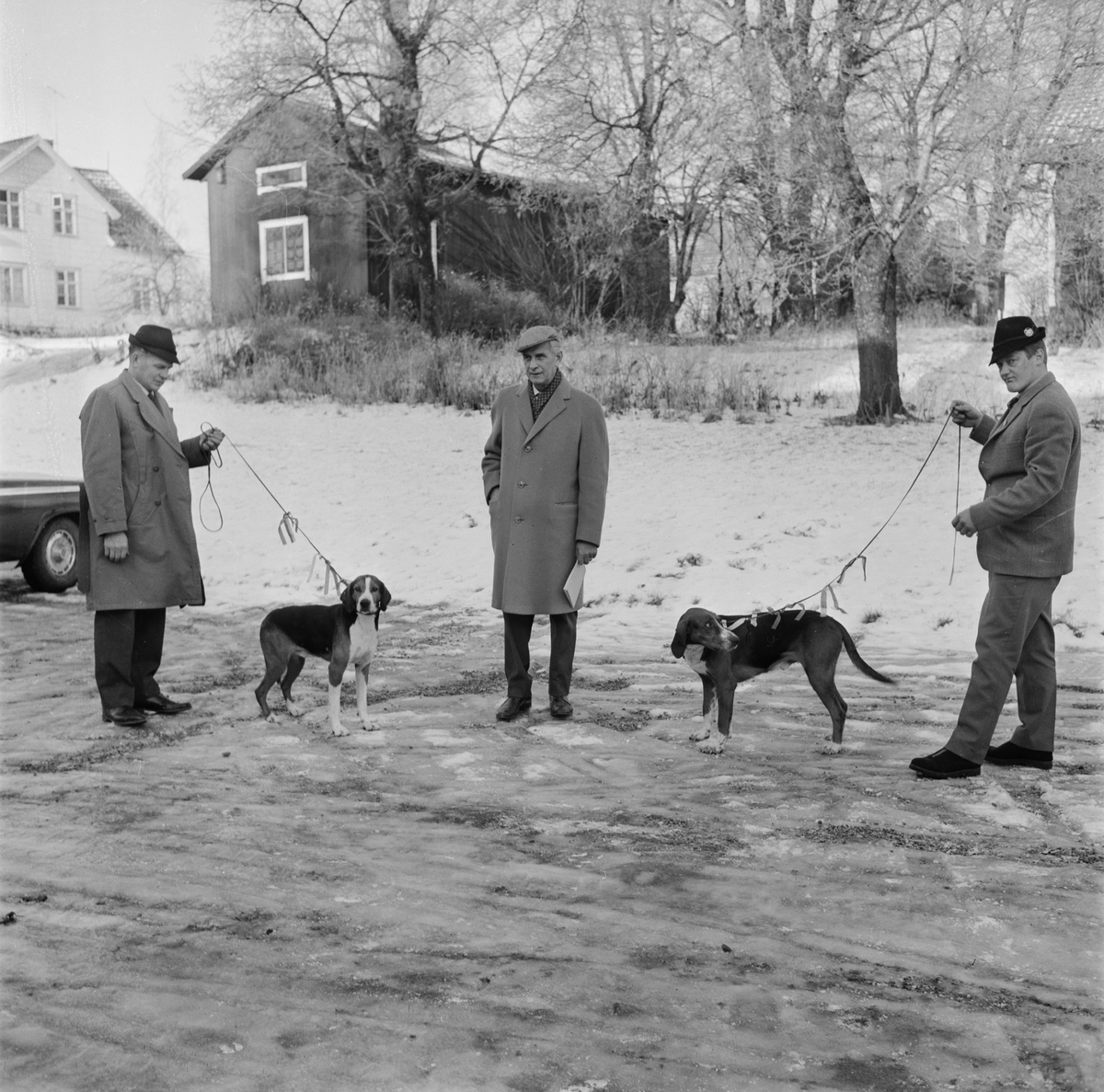 Hundutställning i Gryttjom, Uppland