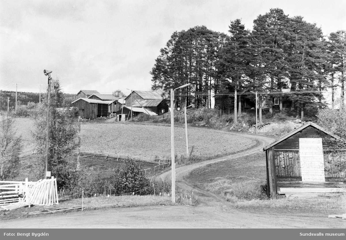 Lantgård i Sköle by i Matfors med mangårdsbyggnad och ekonomibyggnader. Skölevägen 27-29. Gården är numera (2020) delad i två fastigheter, mangårdsbyggnaden är privatbostad och större delen av ekonomibyggnader och mark är ridskola och ägs av Matfors ryttarförening.
