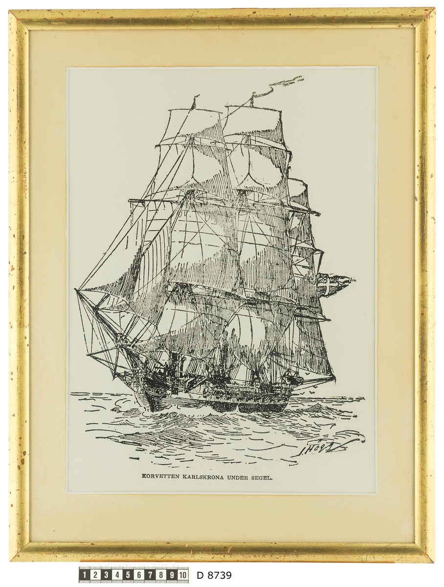Denna fotografi efter en etsning från Jacob Hägg visar korvetten Karlskrona under segel till havs. Avbildningen publicerades i tidningen Svenska Dagbladet den 30/4 1906, 60 år efter fartygets förlisning utanför Havanna den 30/4 1846.