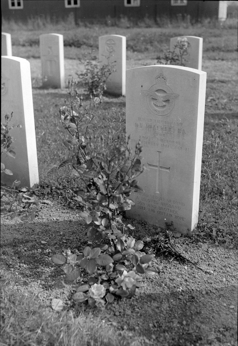 David F. Walker sin grav på Stavne krigskirkegård