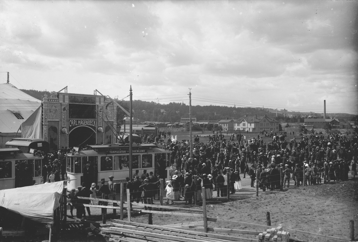 Sommaren år 1916 var den tyska cirkusen Carl Hagenbeck på besök i Jönköping. Cirkusen blev förlagd till området strax öster om Södra skolan på Torpa, alldeles vid spårvägens sträckning.