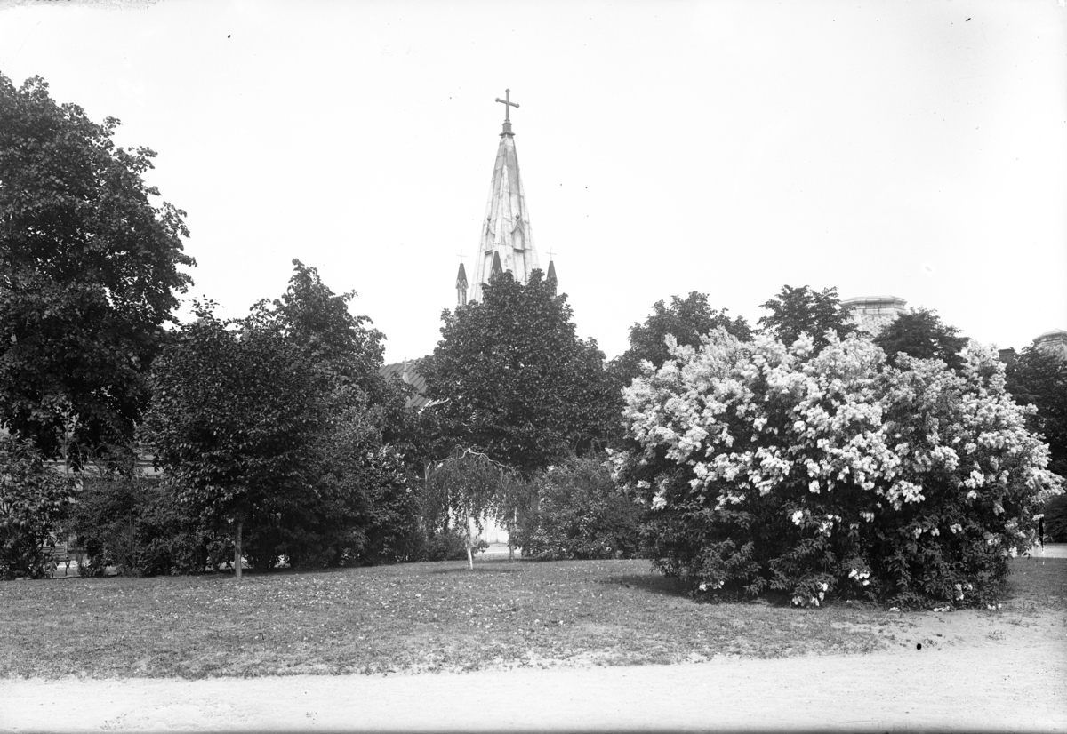 Bakom trädet ser man tornet på Österns assyriska kyrka i Jönköpingt och det är fotograferat från planen framför Sofia Kyrkan.