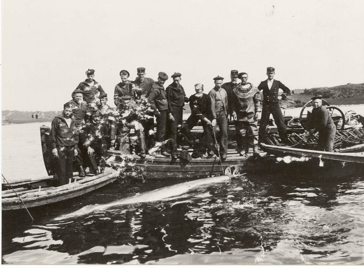 Motiv: Fisking av øvelsestorpedo ved Marvika 1915.