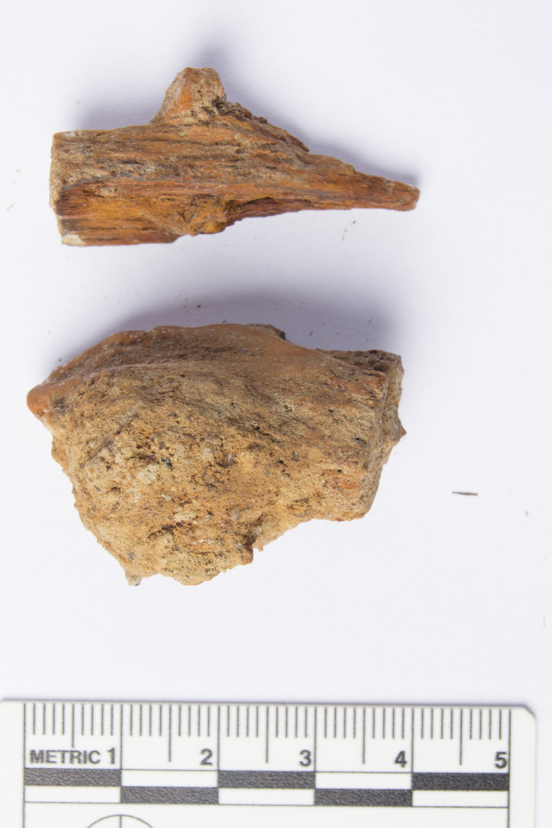 To delar av kistenaglar av jarn med trerestar rundt. St. l. 50 og 36 mm. (Funne in situ, fnr. 301.)