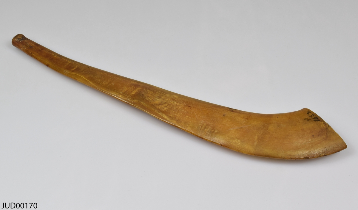 Horn, som kallas shofar, som används för att blåsa i vid särskilda högtider och cermonier.  Dekorerad på ena sidan, i den tjockare änden, med hebreisk text. Sekundär skrift skrivet med bläck på andra sidan, även den i den tjockare änden, i form av årtalet 1652.