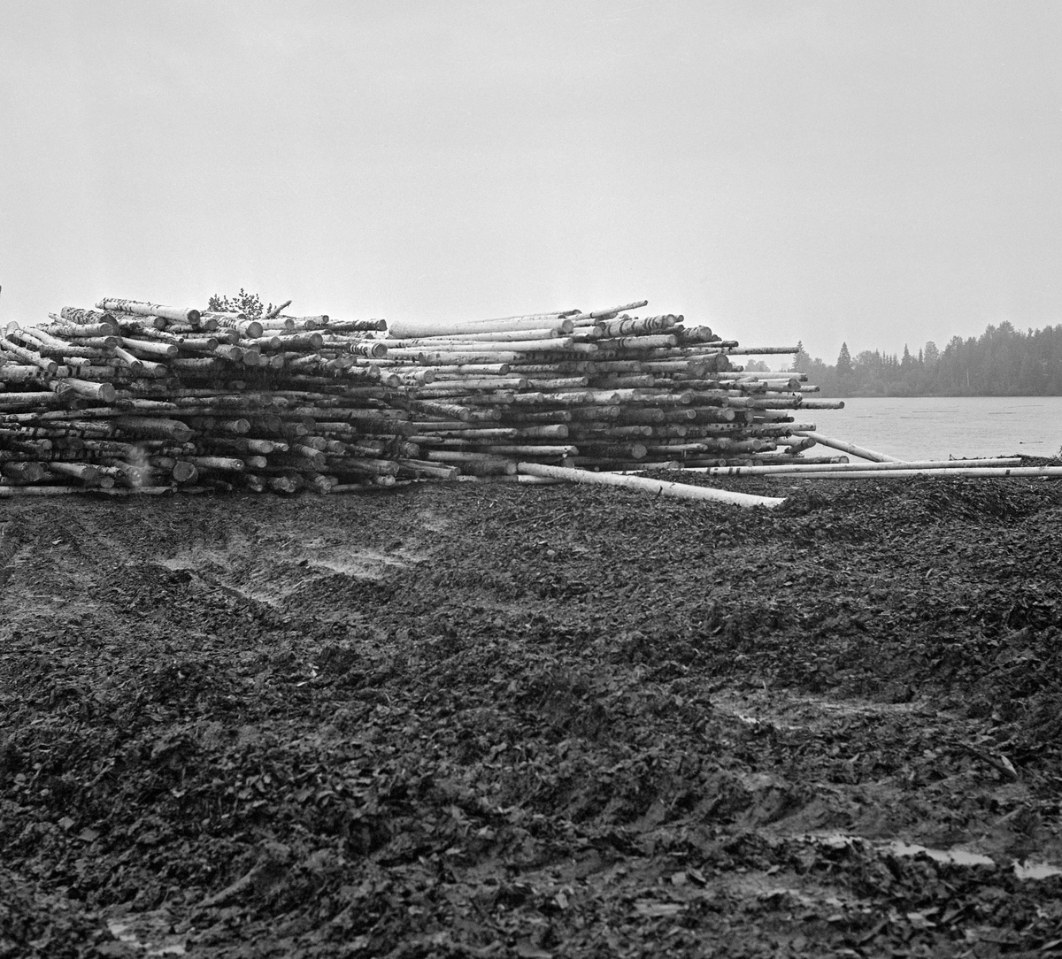Fra tømmerterminalen på Vesterhaug i Heradsbygda i Elverum (Hedmark). Fotografiet er antakelig tatt i begynnelsen av 1970-åra, dette anlegget var nytt. Vi ser ei diger velte, der tømmerstokkene lå parallelt med strømretningen i Glomma, som vi skimter til høyre i bakgrunnen. Hensikten med denne løsningen var at tømmeret lettvint skulle kunne skyves utfor elveskråningen ved hjelp av en anleggsmaskin når vannføringa var slik at det passet å starte fløtinga. Det tømmeret vi ser her var maskinbarket slipvirke, altså råstoff til papirindustrien. De djupe kjøresporene i forgrunnen tyder på at dekket på velteplassen ikke var tilført masse som gav god bæreevne for tømmeret og de tunge anleggsmaskinene i fuktige perioder.