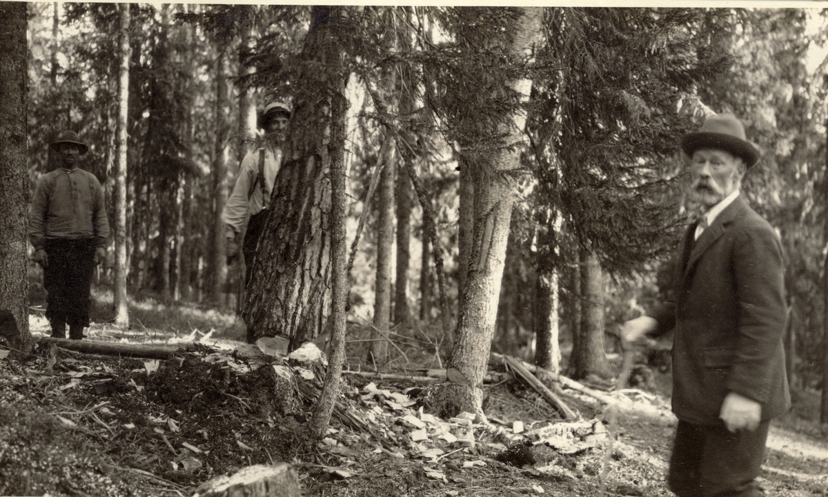 Ferdinand Egeberg og to skogsarbeidere, antagelig på befaring på eiendommen Malungen i Stange, Hedmark. Fotografert 1916.